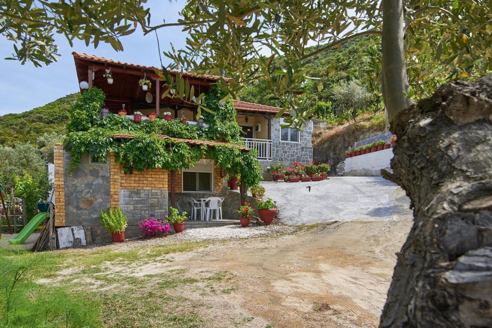 Dimste Studios Skala Sikias Luaran gambar